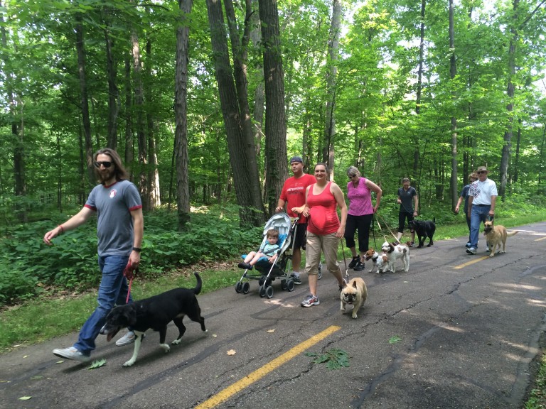 Pack Walks Dog's Best Friend Training and Pet Care