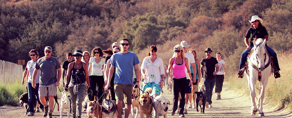 Training Pack Walk